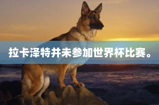 拉卡泽特并未参加世界杯比赛。
