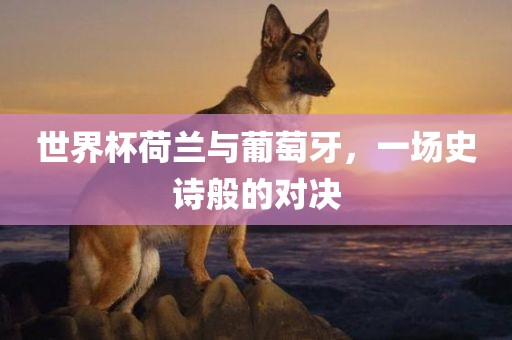 世界杯荷兰与葡萄牙，一场史诗般的对决