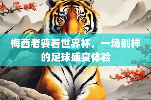 梅西老婆看世界杯，一场别样的足球盛宴体验
