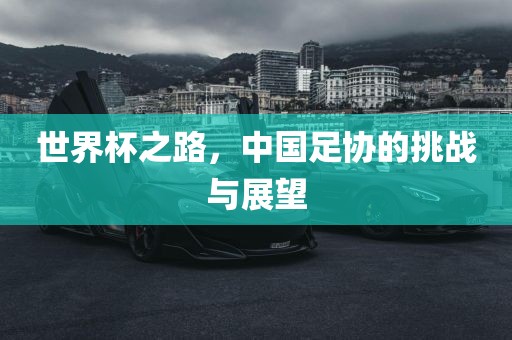世界杯之路，中国足协的挑战与展望