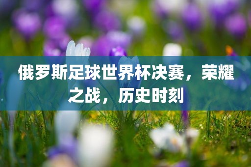 俄罗斯足球世界杯决赛，荣耀之战，历史时刻