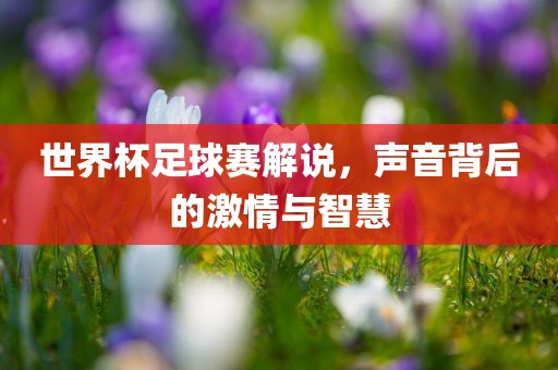 世界杯足球赛解说，声音背后的激情与智慧