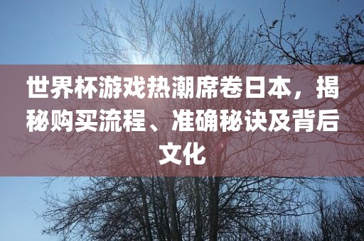 世界杯游戏热潮席卷日本，揭秘购买流程、准确秘诀及背后文化