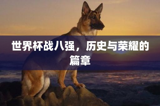 世界杯战八强，历史与荣耀的篇章