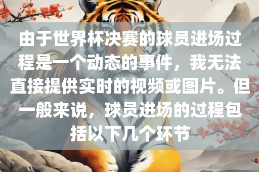 由于世界杯决赛的球员进场过程是一个动态的事件，我无法直接提供实时的视频或图片。但一般来说，球员进场的过程包括以下几个环节