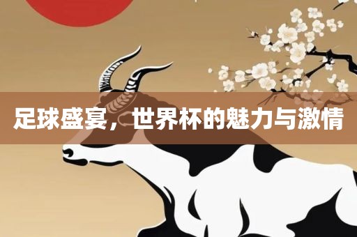 足球盛宴，世界杯的魅力与激情
