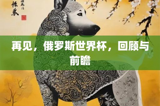 再见，俄罗斯世界杯，回顾与前瞻