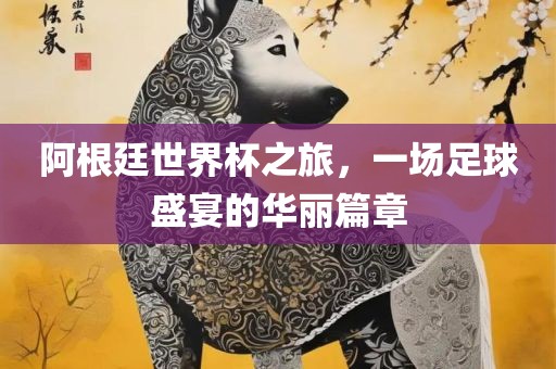 阿根廷世界杯之旅，一场足球盛宴的华丽篇章