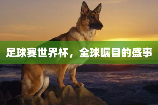 足球赛世界杯，全球瞩目的盛事眉山市正发家政服务有限公司