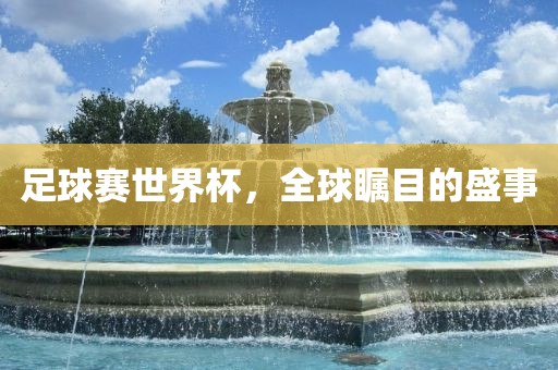 足球赛世界杯，全球瞩目的盛事眉山市正发家政服务有限公司