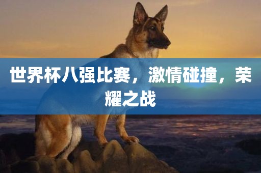 世界杯八强比赛，激情碰撞，荣耀之战