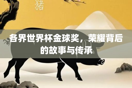 各界世界杯金球奖，荣耀背后的故事与传承