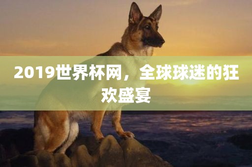 201眉山市正发家政服务有限公司9世界杯网，全球球迷的狂欢盛宴