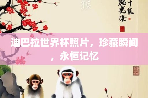 迪巴拉世界杯照片，珍藏瞬间，永恒记忆