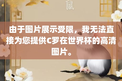 由于图片展示受限，我无法直接为您提供C罗在世界杯的高清图片。