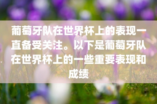 葡萄牙队在世界杯上的表现一直备受关注。以下是葡萄牙队在世界杯上的一些重要表现和成绩