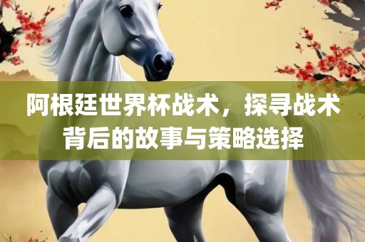 阿根廷世界杯战术，探寻战术背后的故事与策略选择