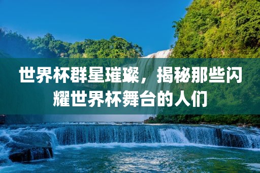 世界杯群星璀璨，揭秘那些闪耀世界杯舞台的人们