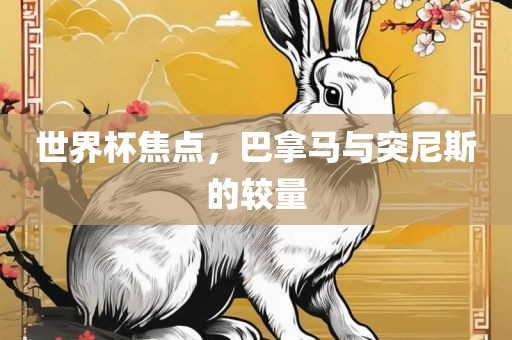 世界杯焦点，巴拿马与突尼斯的较量