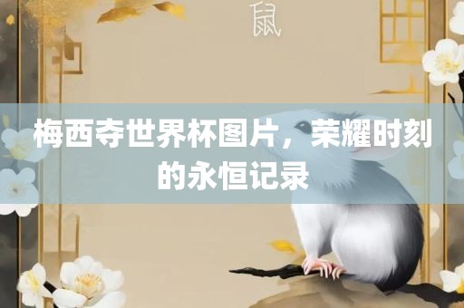 梅西夺世界杯图片，荣耀时刻的永恒记录