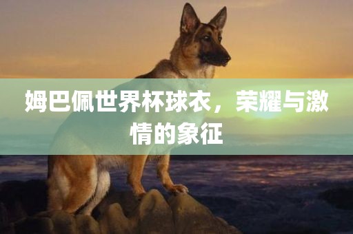 姆巴佩世界杯球衣，荣耀与激情的象征