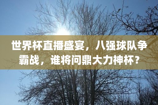 世界杯直播盛宴，八强球队争霸战，谁将问鼎大力神杯？