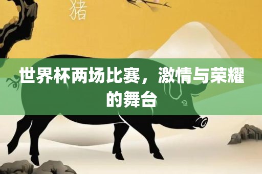 世界杯两场比赛，激情与荣耀的舞台