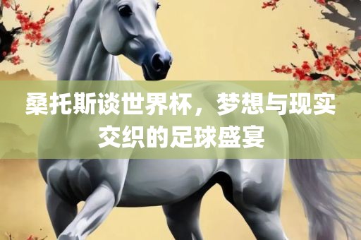 桑托斯谈世界杯，梦想与现实交织的足球盛宴