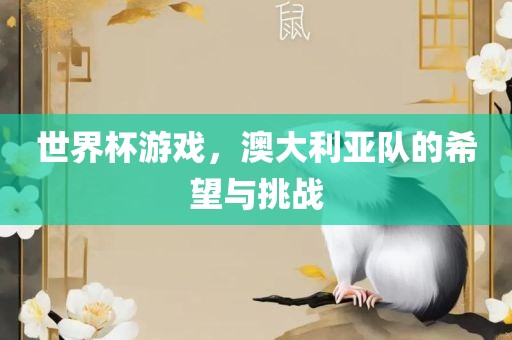 世界杯游戏，澳大利亚队的希望与挑战