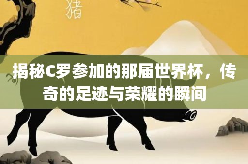 揭秘C罗参加的那届世界杯，传奇的足迹与荣耀的瞬间