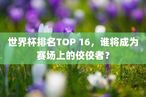 世界杯排名TOP 16，谁将成为赛场上的佼佼者？