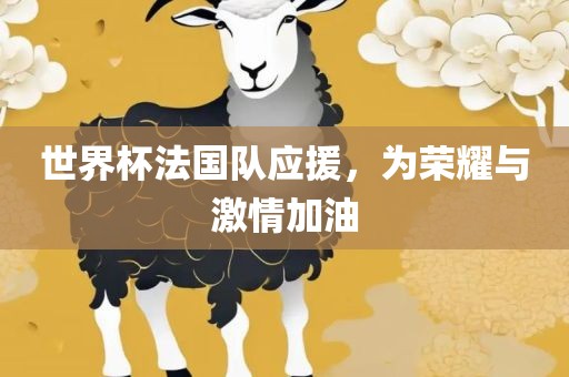 世界杯法国队应援，为荣耀与激情加油