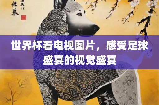 世界杯看电视图片，感受足球盛宴的视觉盛宴