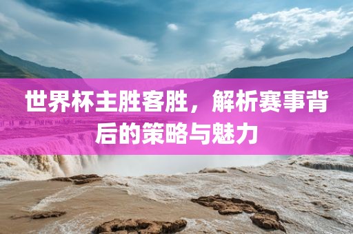 世界杯主胜客胜，解析赛事背后的策略与魅力