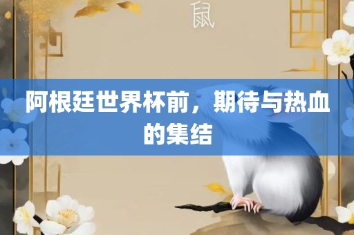 阿根廷世界杯前，期待与热血的集结