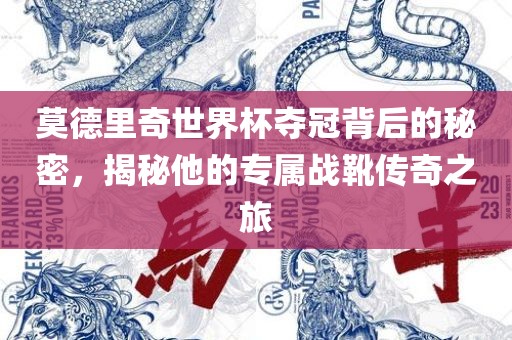 莫德里奇世界杯夺冠背后的秘密，揭秘他的专属战靴传奇之旅