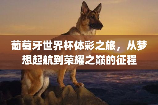 葡萄牙世界杯体彩之旅，从梦想起航到荣耀之巅的征程