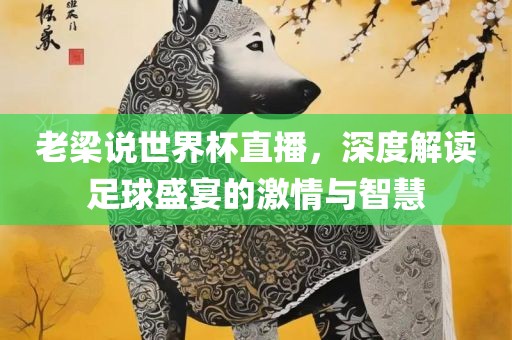 老梁说世界杯直播，深度解读足球盛宴的激情与智慧