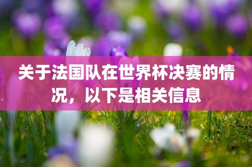 关于法国队在世界杯决赛的情况，以下是相关信息