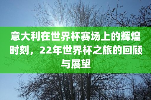意大利在世界杯赛场上的辉煌时刻，22年世界杯之旅的回顾与展望