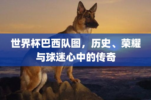 世界杯巴西队图，历史、荣耀与球迷心中的传奇