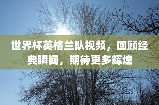 世界杯英格兰队视频，回顾经典瞬间，期待更多辉煌