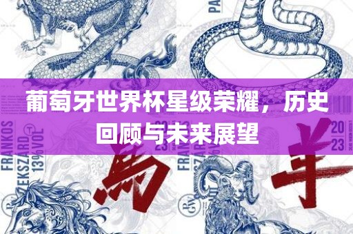 葡萄牙世界杯星级荣耀，历史回顾与未来展望