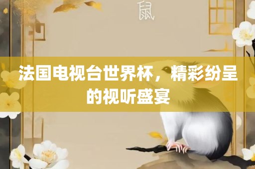 法国电视台世界杯，精彩纷呈的视听盛宴