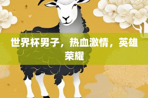 世界杯男子，热血激情，英雄荣耀