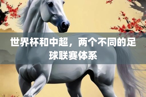 世界杯和中超，两个不同的足球联赛体系