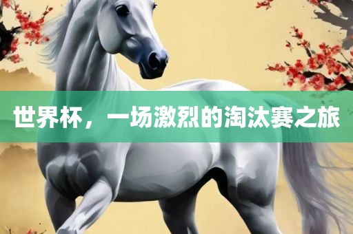 世界杯，一场激烈的淘汰赛之旅