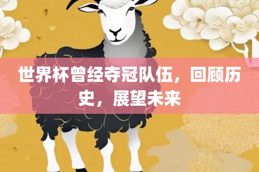 世界杯曾经夺冠队伍，回顾历史，展望未来