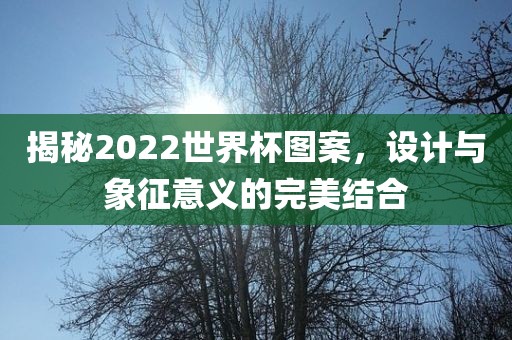 揭秘2022世界杯图案，设计与象征意义的完美结合