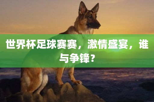 世界杯足球赛赛，激情盛宴，谁与争锋？